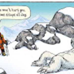 Meet your Posher, Morgan